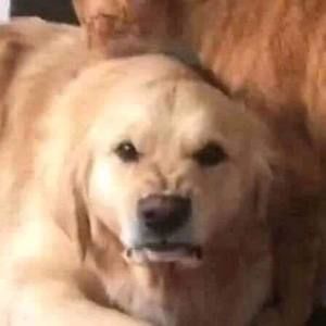 Meet your Posher, Brittney